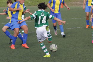 星空体育app登录入口-上海申花再遭柔佛新山逆转，1-3失利痛失连胜机会